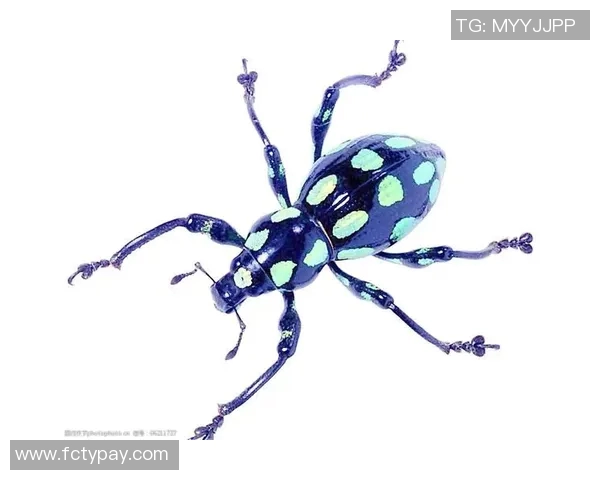 探索3D图库天牛图库的无限创意与灵感分享之旅 探索3D图库天牛图库的无限创意与灵感分享之旅